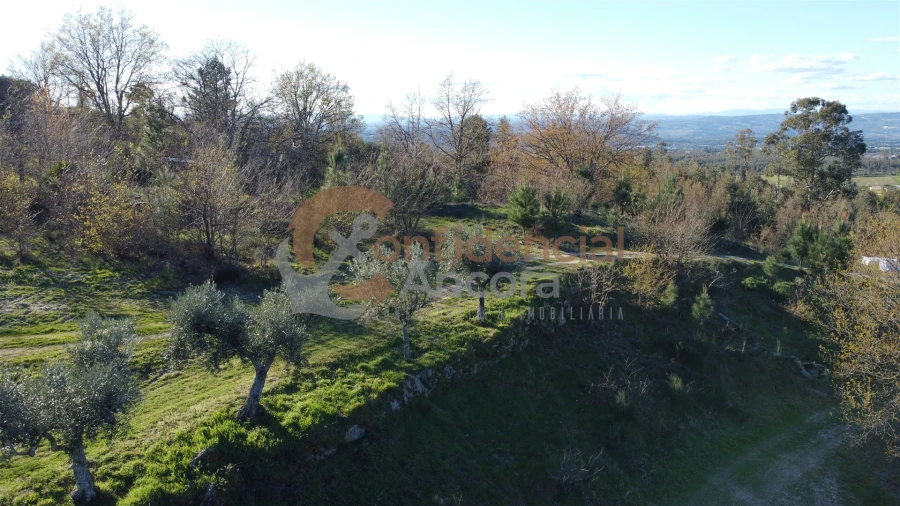 Quinta T0 para Venda em Aldeias e Mangualde da Serra Foto 38