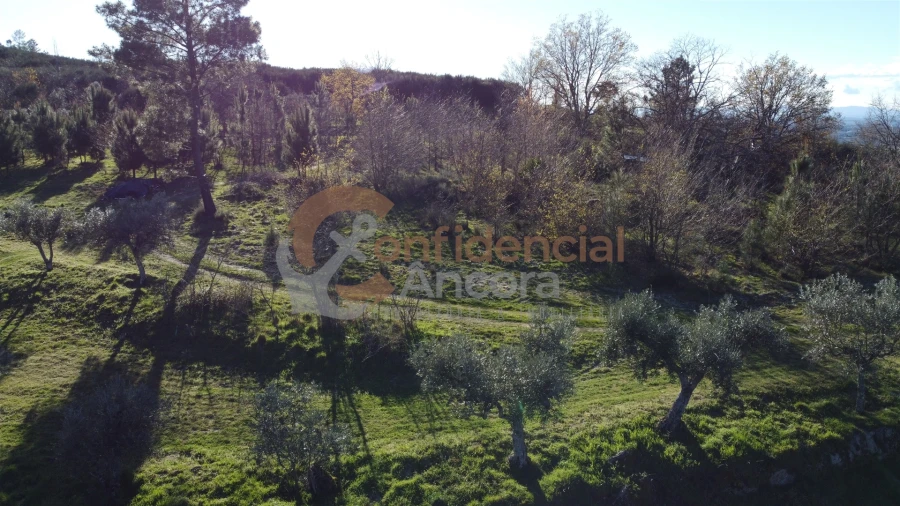 Quinta T0 para Venda em Aldeias e Mangualde da Serra Foto 37