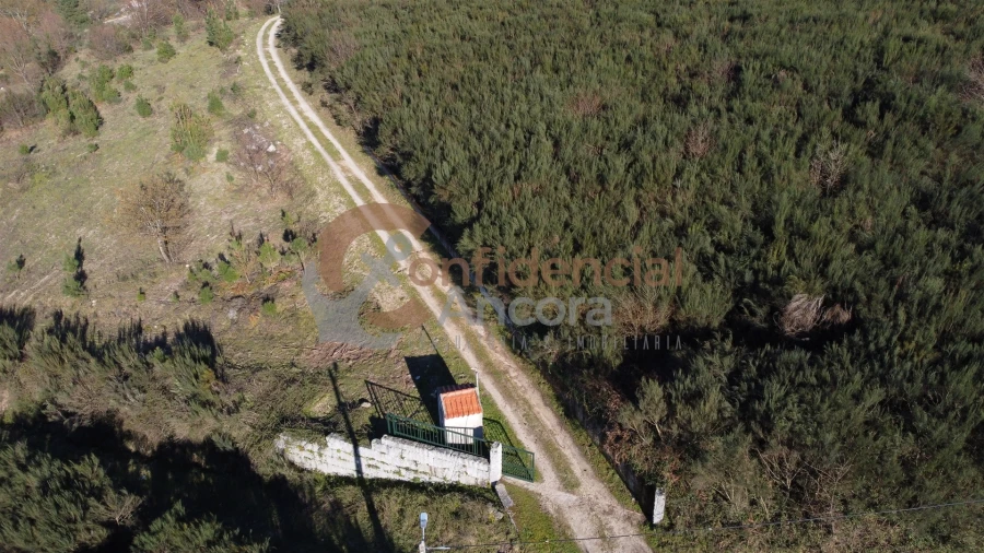 Quinta T0 para Venda em Aldeias e Mangualde da Serra Foto 42