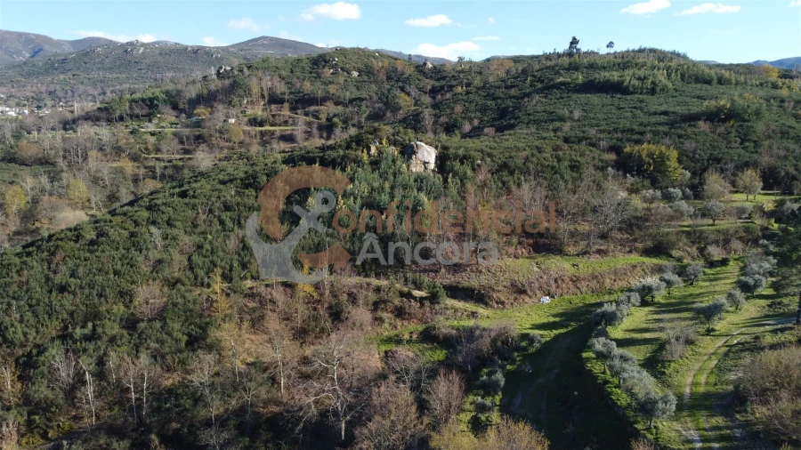 Quinta T0 para Venda em Aldeias e Mangualde da Serra Foto 35