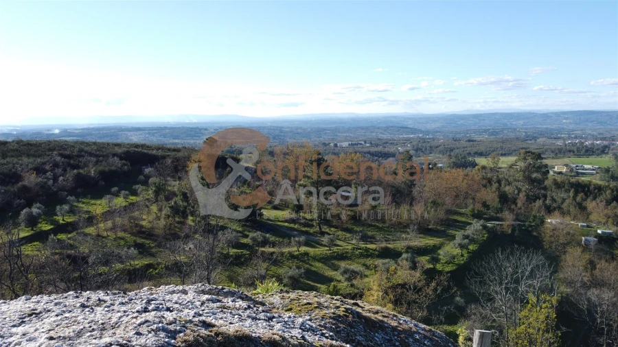 Quinta T0 para Venda em Aldeias e Mangualde da Serra Foto 56