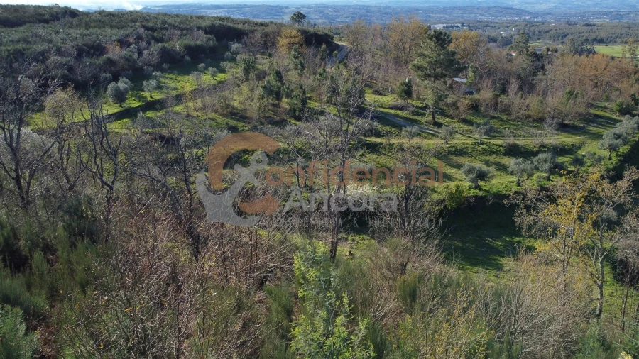 Quinta T0 para Venda em Aldeias e Mangualde da Serra Foto 31