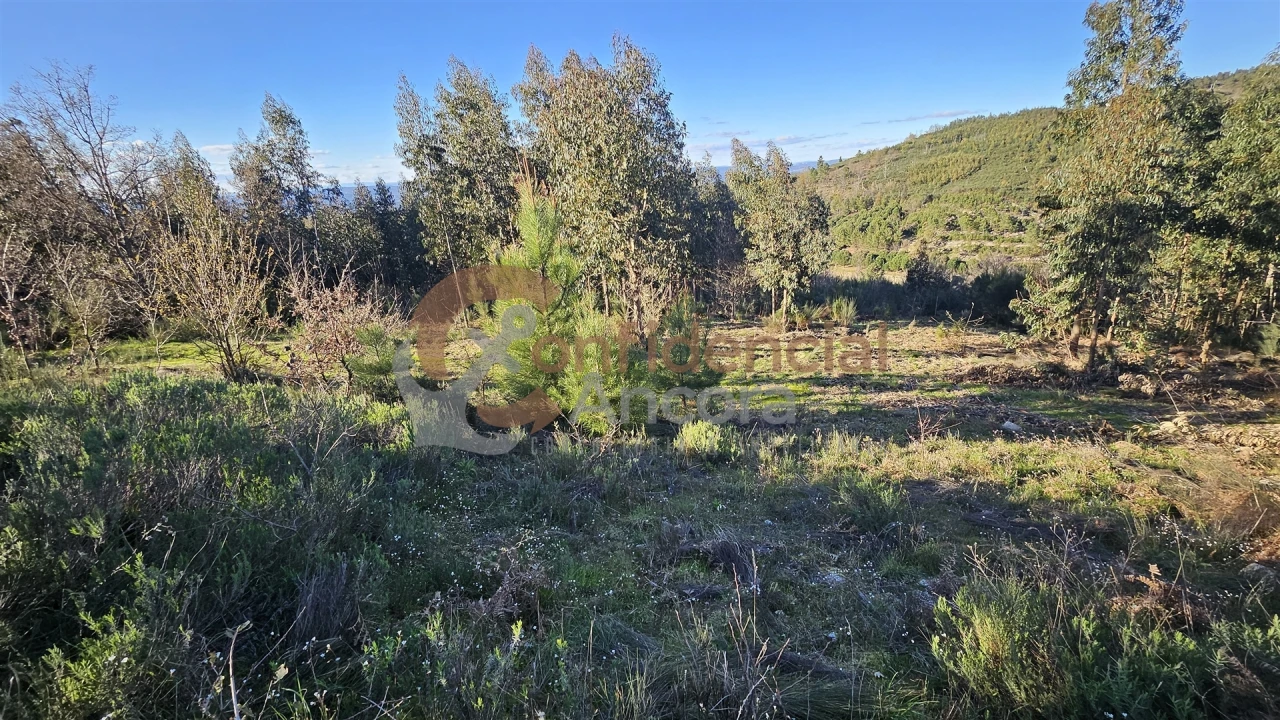 Quinta T0 para Venda em Aldeias e Mangualde da Serra Foto 12