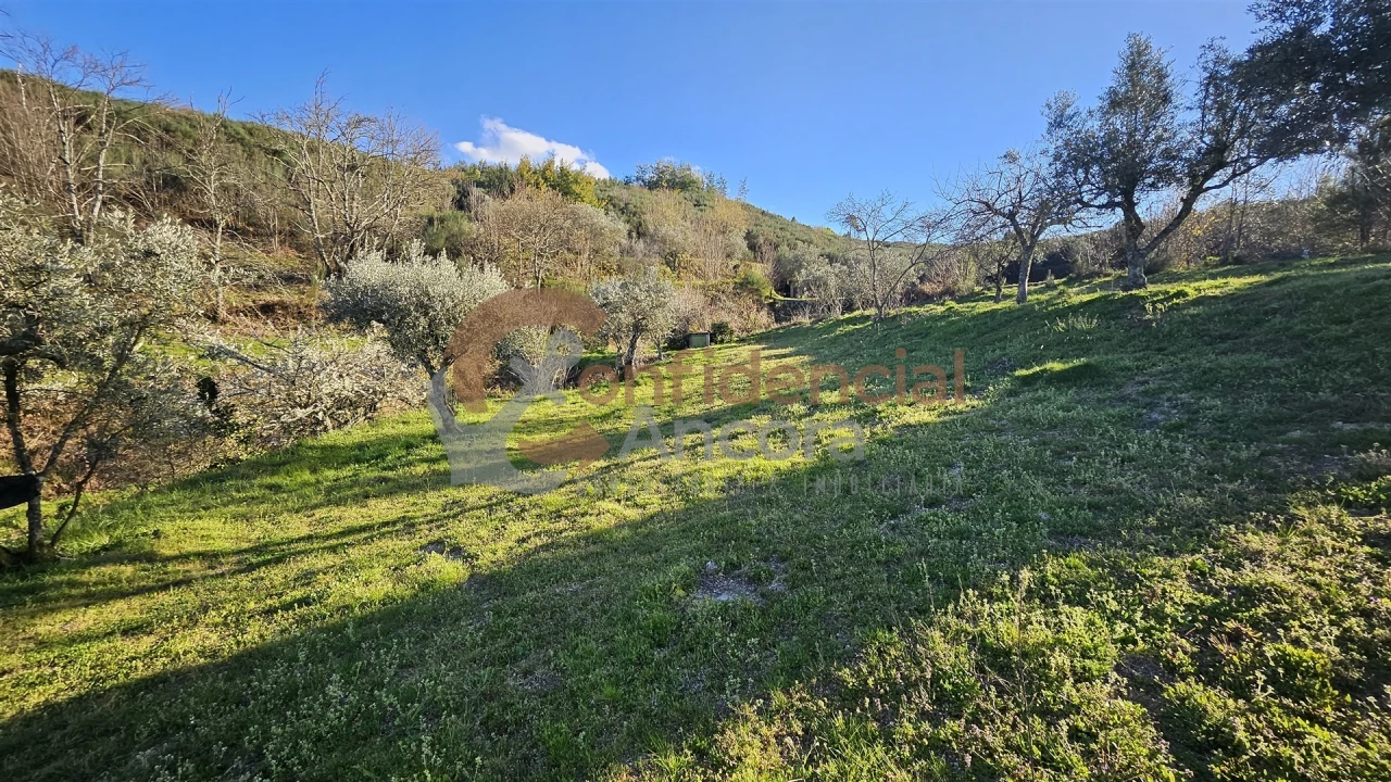 Quinta T0 para Venda em Aldeias e Mangualde da Serra Foto 21