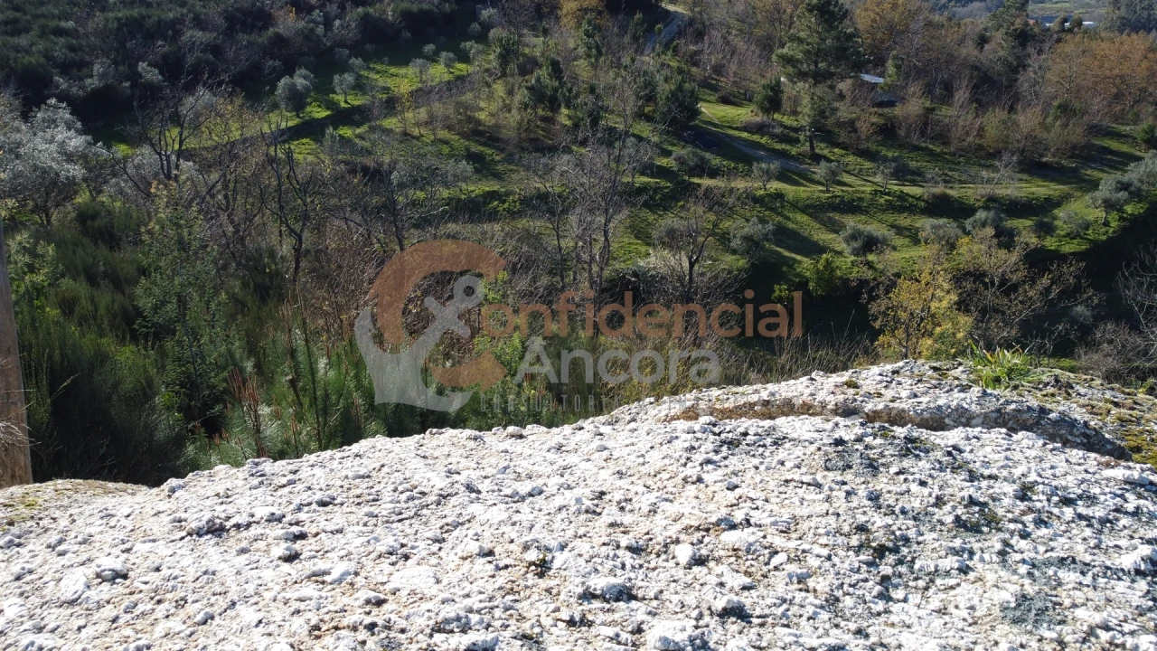 Quinta T0 para Venda em Aldeias e Mangualde da Serra Foto 58