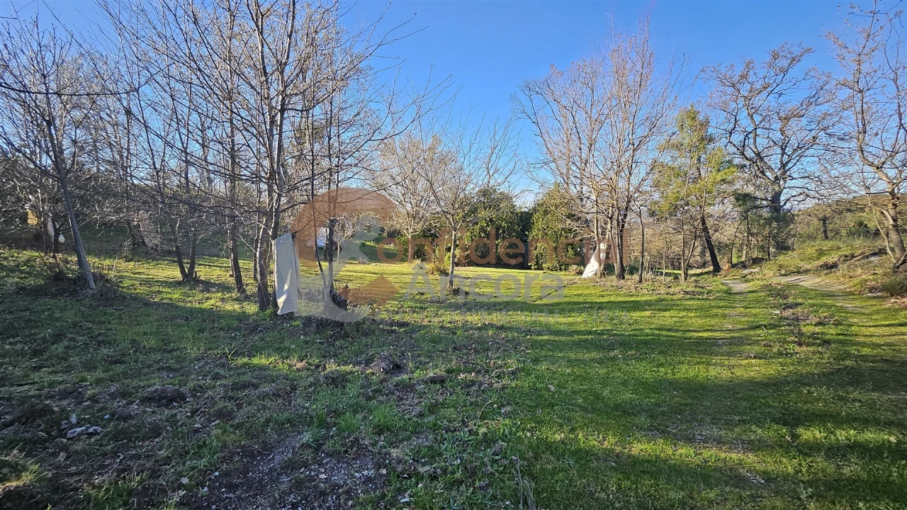 Quinta T0 para Venda em Aldeias e Mangualde da Serra Foto 27
