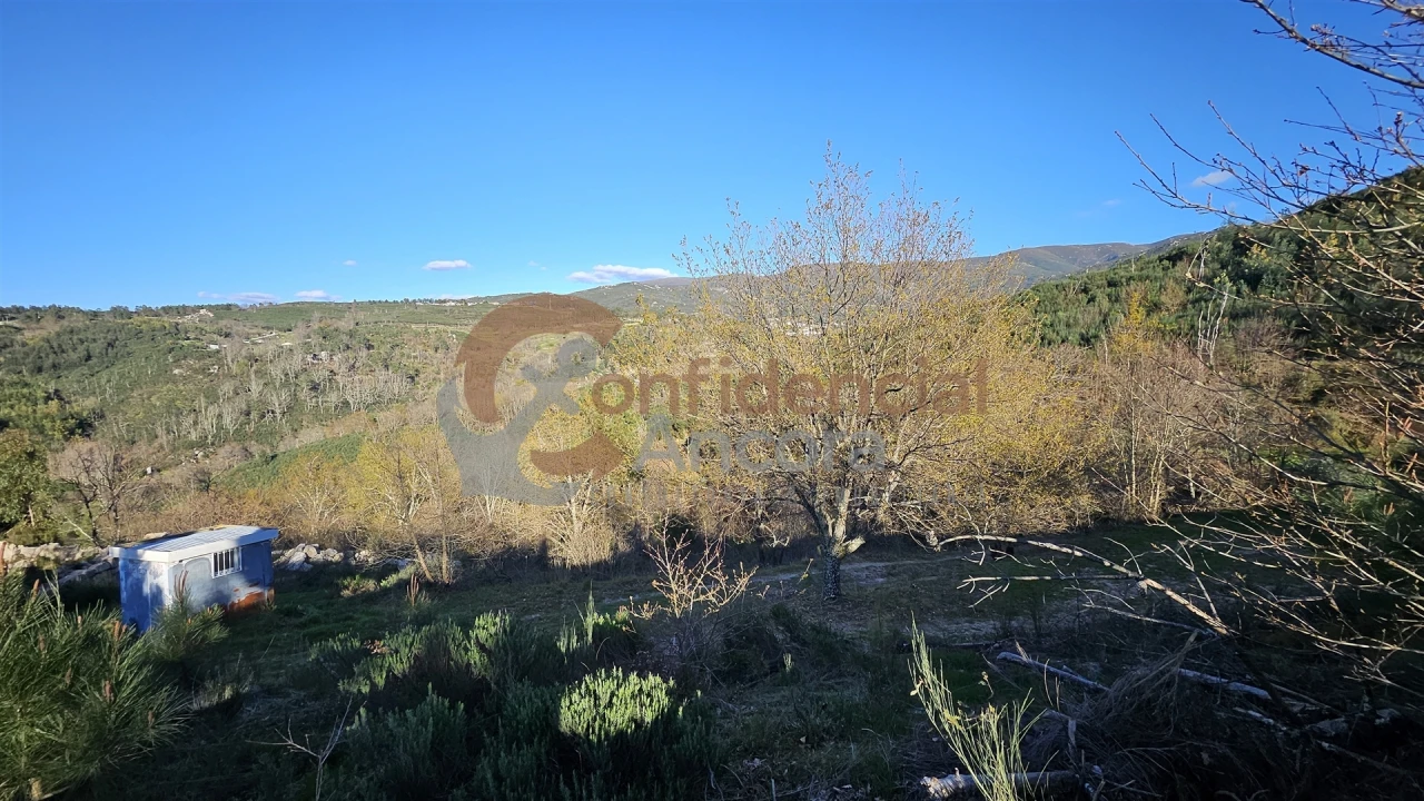 Quinta T0 para Venda em Aldeias e Mangualde da Serra Foto 11