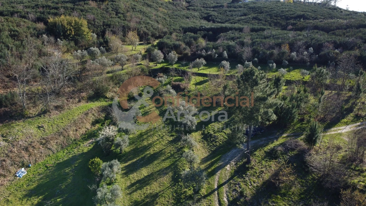 Quinta T0 para Venda em Aldeias e Mangualde da Serra Foto 54