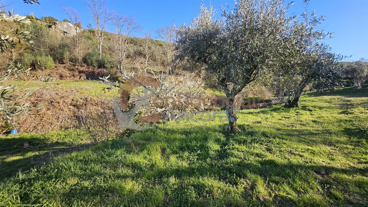 Quinta T0 para Venda em Aldeias e Mangualde da Serra Foto 24