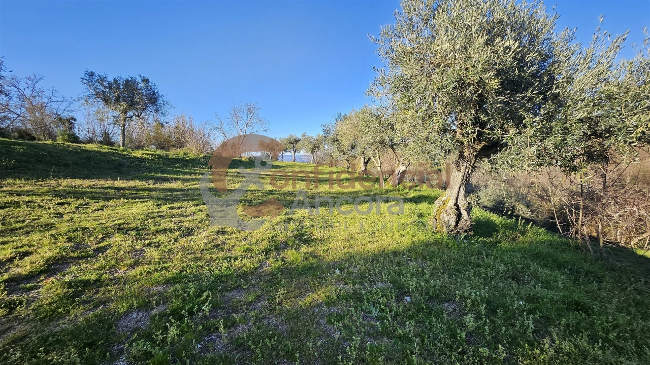 Quinta T0 para Venda em Aldeias e Mangualde da Serra Foto 20