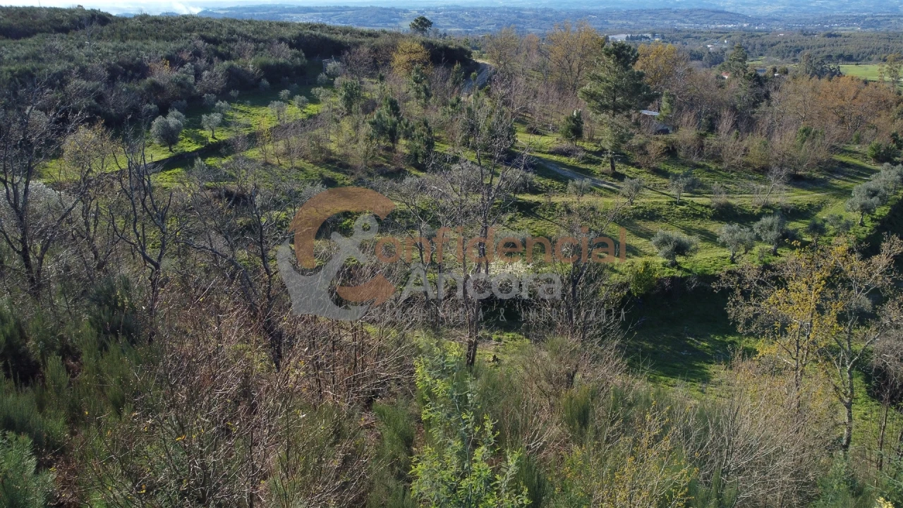 Quinta T0 para Venda em Aldeias e Mangualde da Serra Foto 31