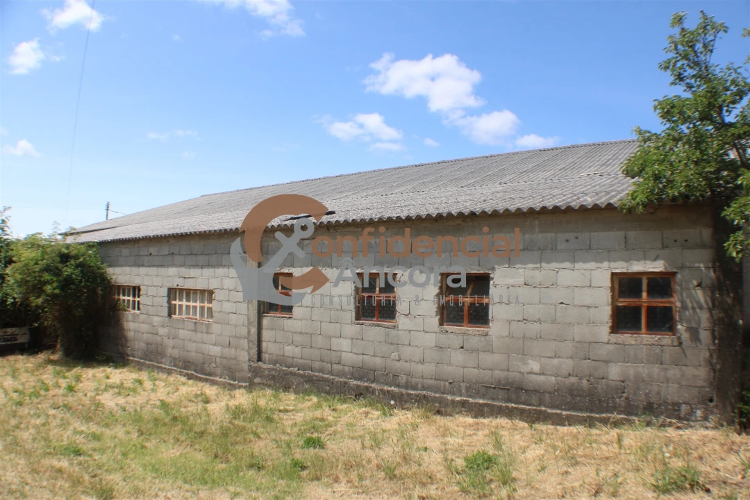 Negócio para Venda em São Paio Foto 20