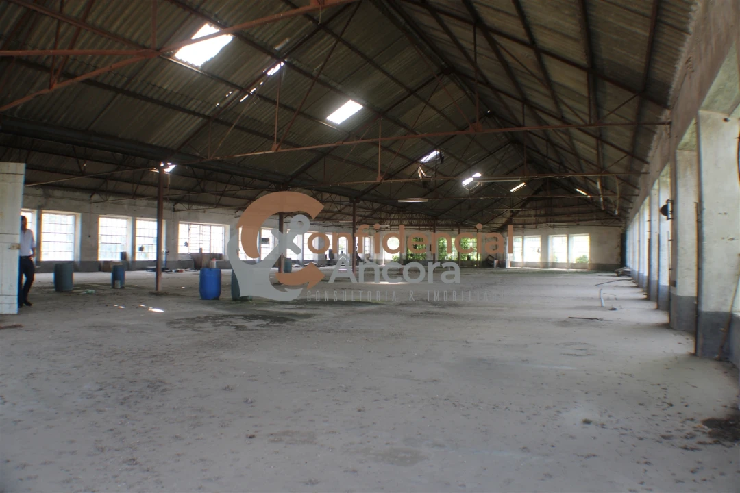 Negócio para Venda em São Paio Foto 30