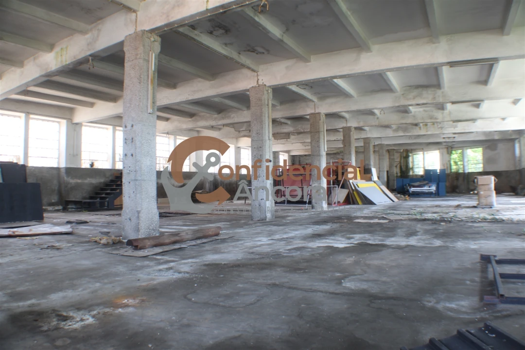 Negócio para Venda em São Paio Foto 34