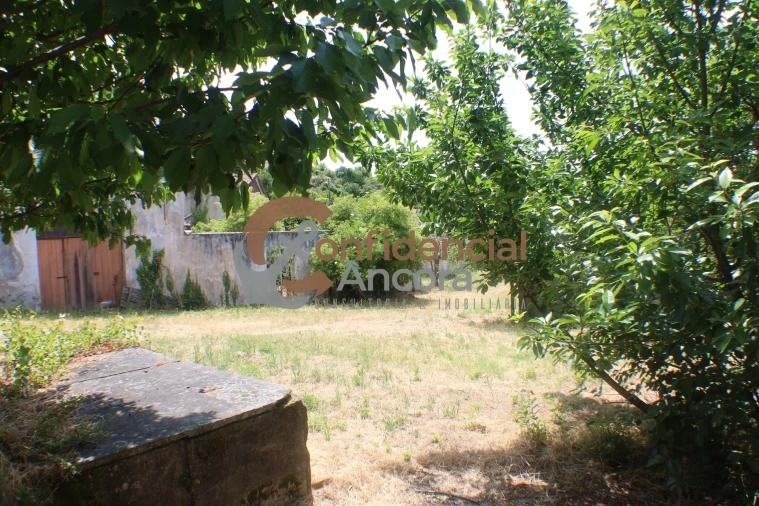 Negócio para Venda em São Paio Foto 16