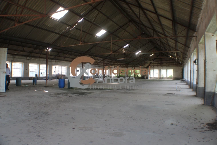 Negócio para Venda em São Paio Foto 30