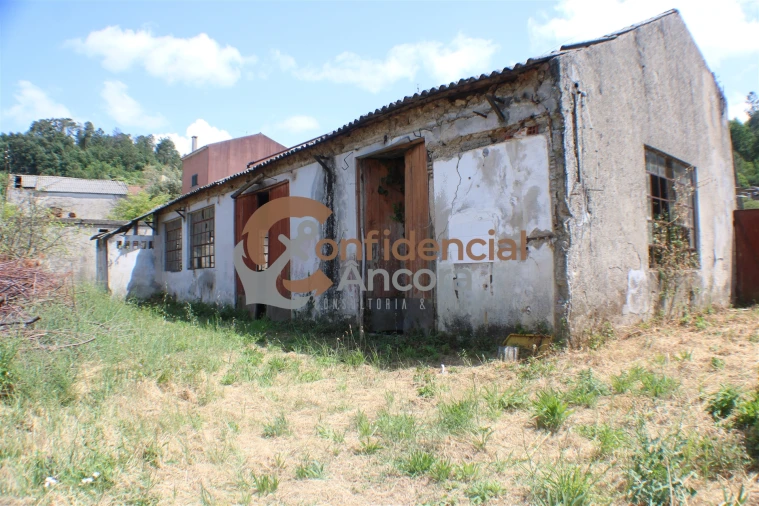 Negócio para Venda em São Paio Foto 23