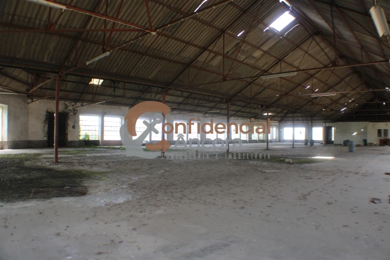 Negócio para Venda em São Paio Foto 29