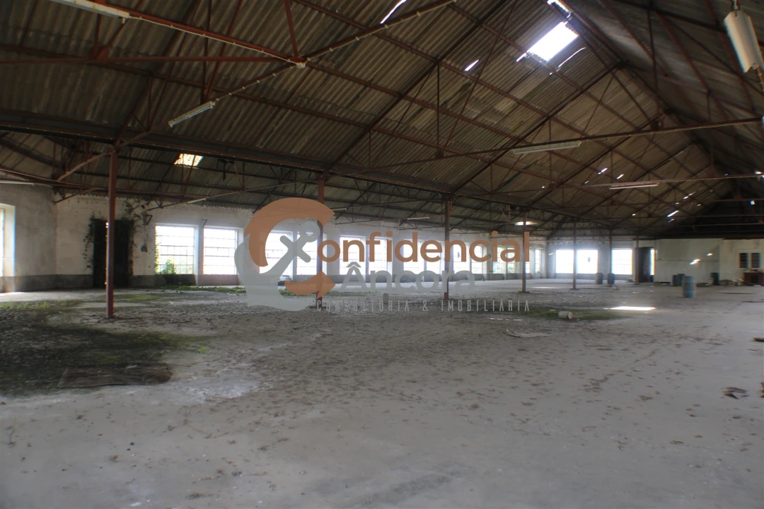 Negócio para Venda em São Paio Foto 29