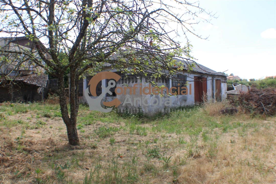 Negócio para Venda em São Paio Foto 21