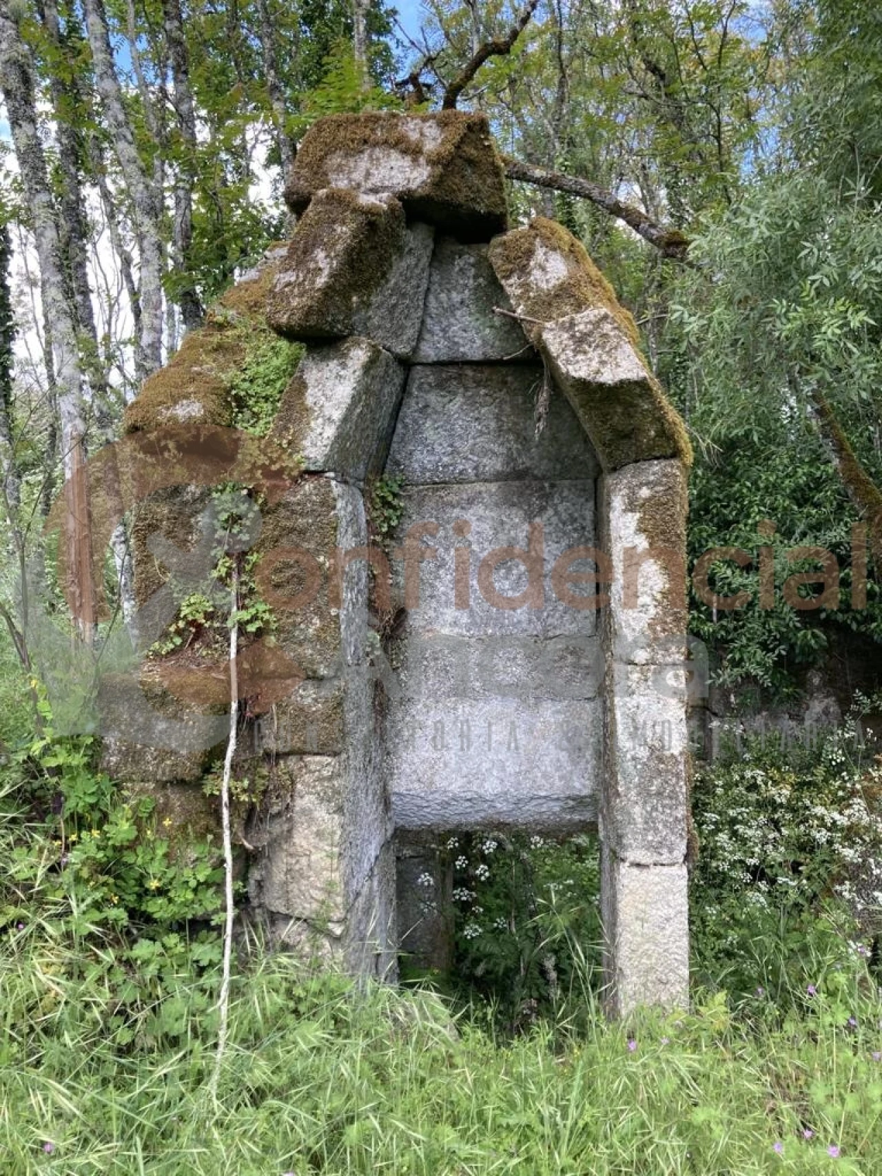 Quinta T0 para Venda em Rio Torto e Lagarinhos Foto 4