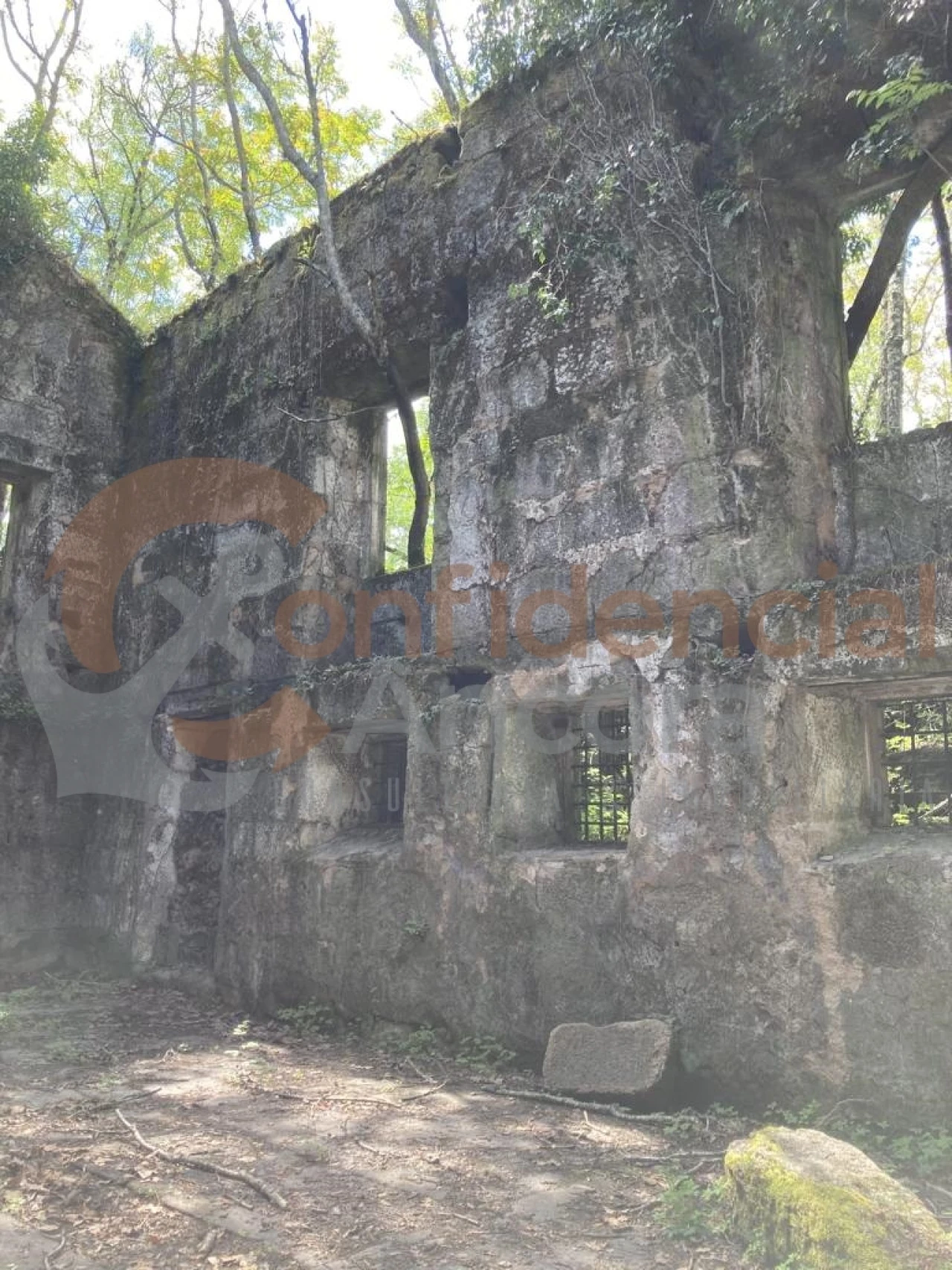 Quinta T0 para Venda em Rio Torto e Lagarinhos Foto 12