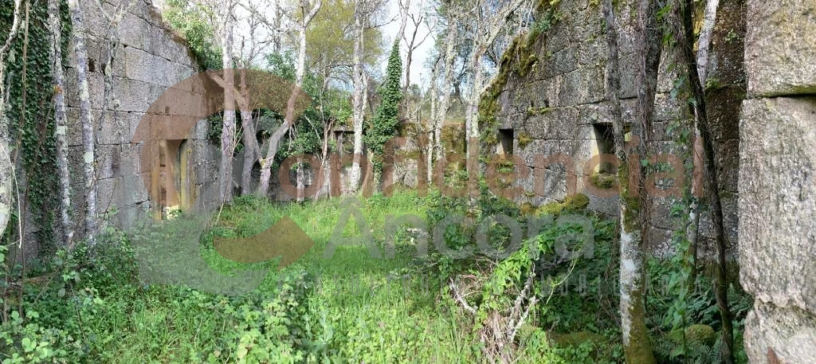 Quinta T0 para Venda em Rio Torto e Lagarinhos Foto 11