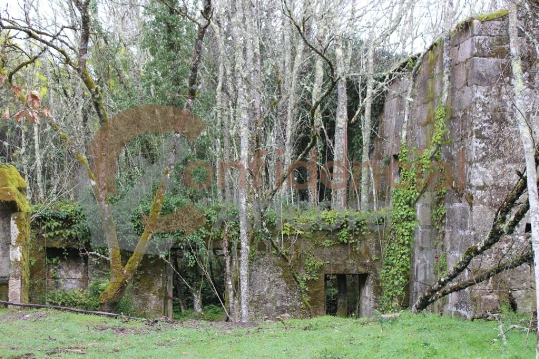 Quinta T0 para Venda em Rio Torto e Lagarinhos Foto 3