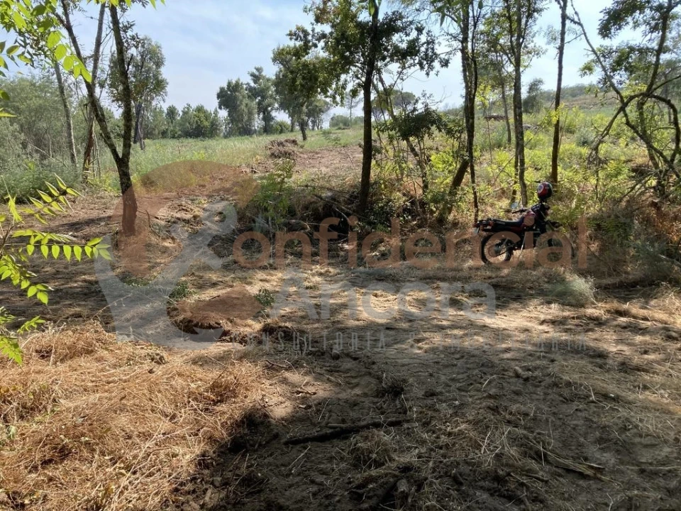 Quinta T0 para Venda em Rio Torto e Lagarinhos Foto 5