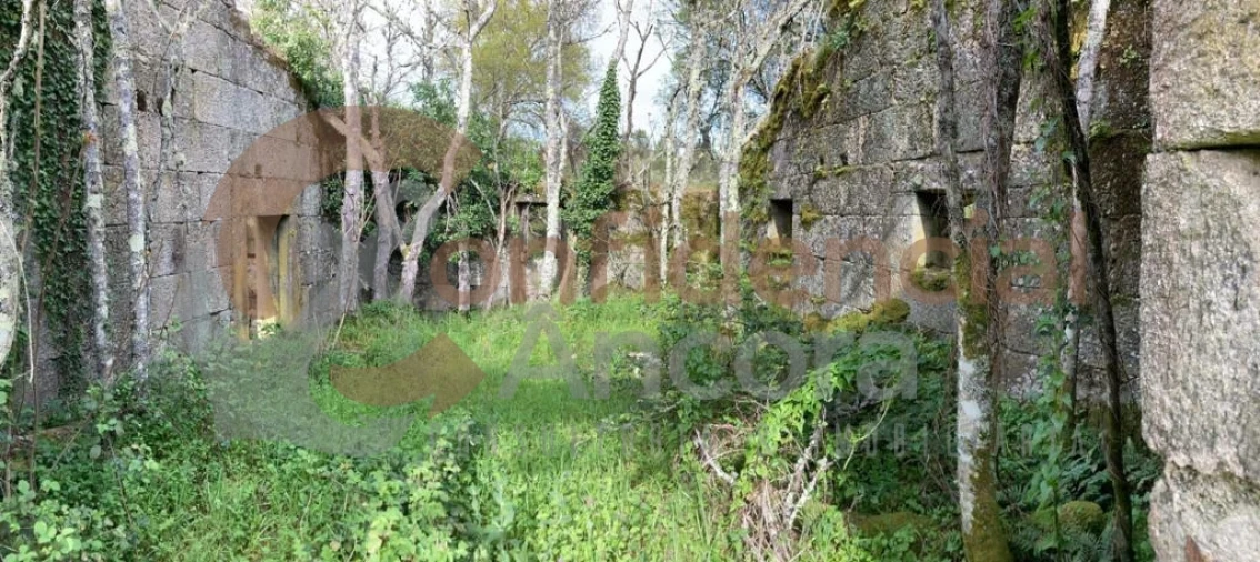 Quinta T0 para Venda em Rio Torto e Lagarinhos Foto 11