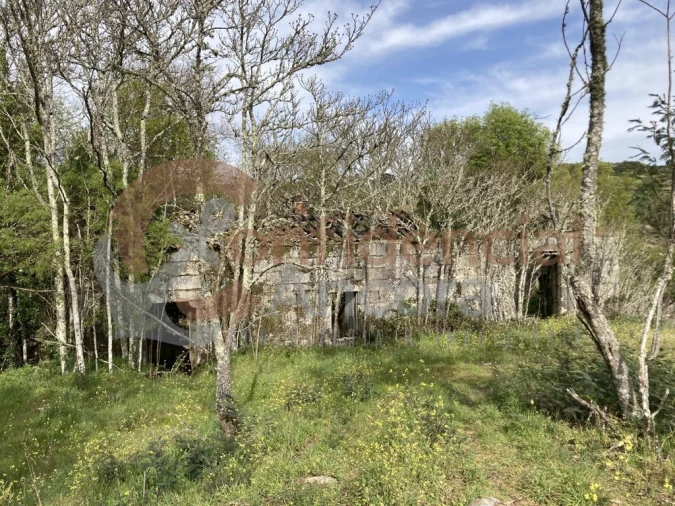 Quinta T0 para Venda em Rio Torto e Lagarinhos Foto 6