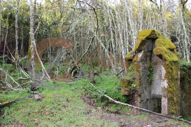 Quinta T0 para Venda em Rio Torto e Lagarinhos Foto 9