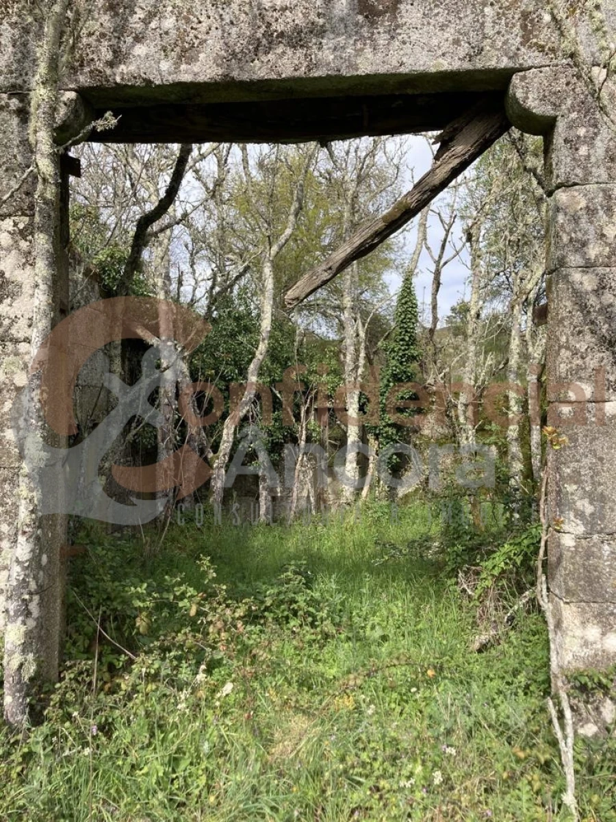 Quinta T0 para Venda em Rio Torto e Lagarinhos Foto 8