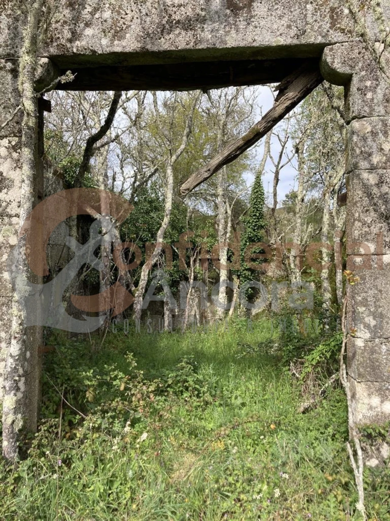 Quinta T0 para Venda em Rio Torto e Lagarinhos Foto 8
