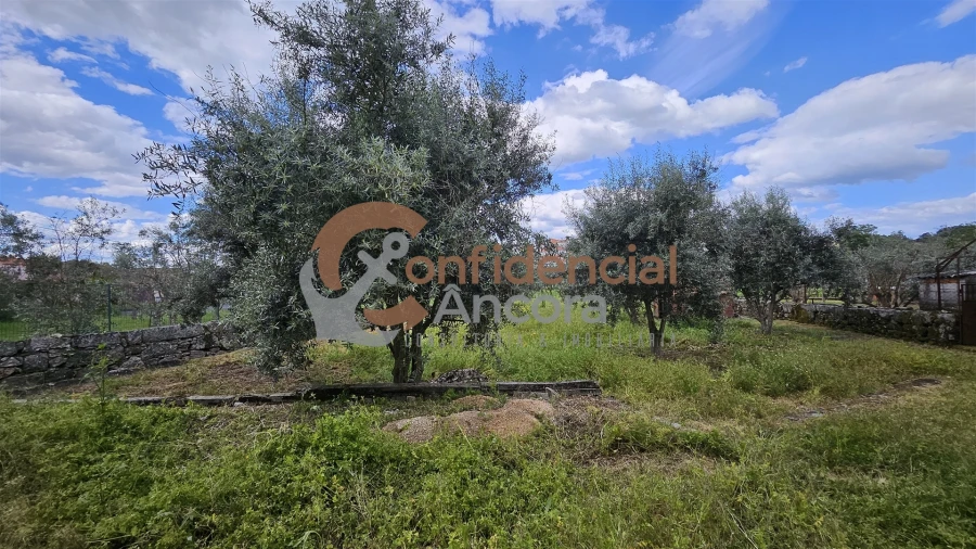 Moradia T5 para Venda em Nespereira Foto 22