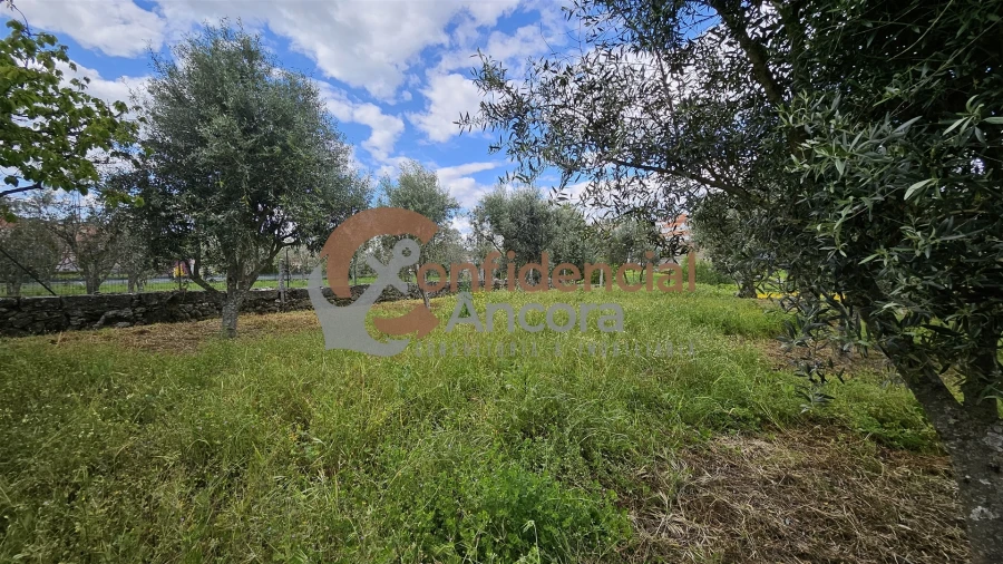 Moradia T5 para Venda em Nespereira Foto 20