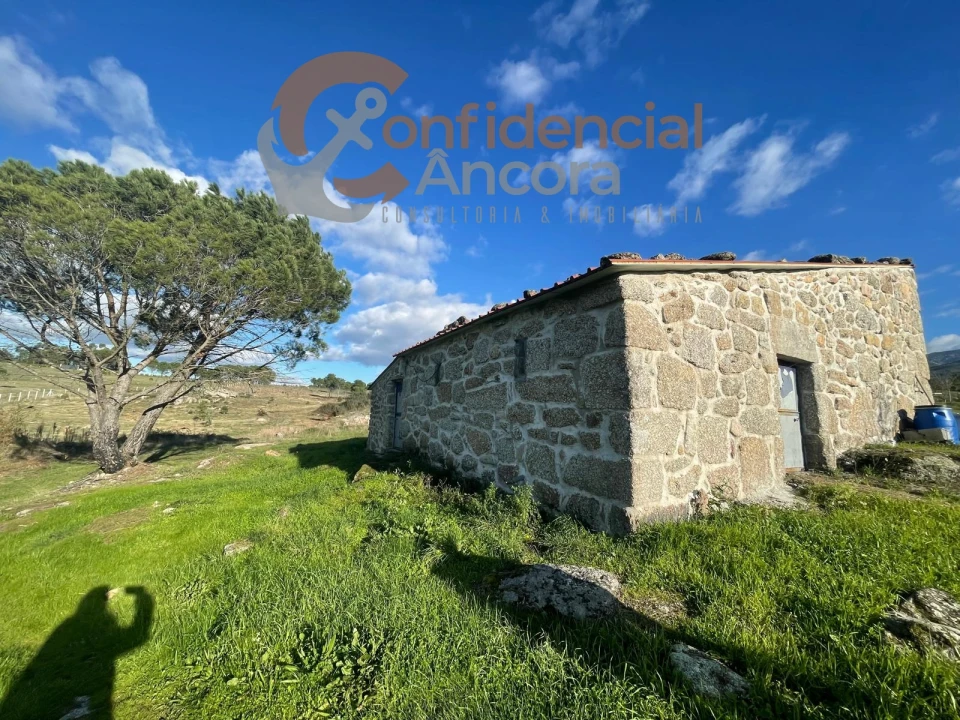 Terreno Agricola ou Rústico para Venda em Santa Marinha e São Martinho Foto 7