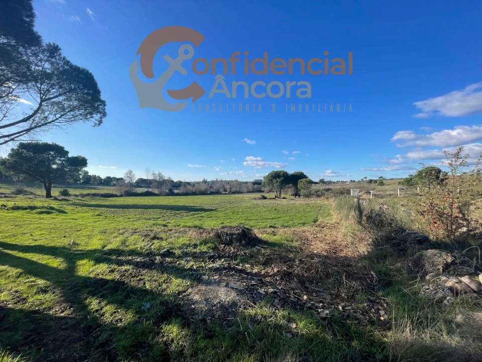 Terreno Agricola ou Rústico para Venda em Santa Marinha e São Martinho Foto 5