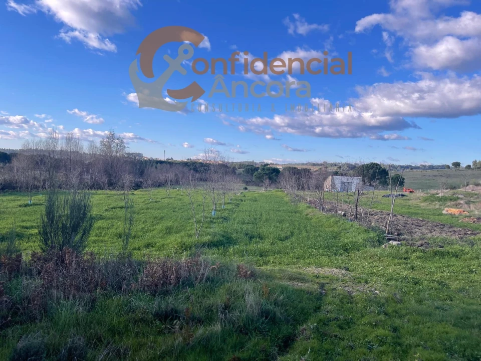 Terreno Agricola ou Rústico para Venda em Santa Marinha e São Martinho Foto 19