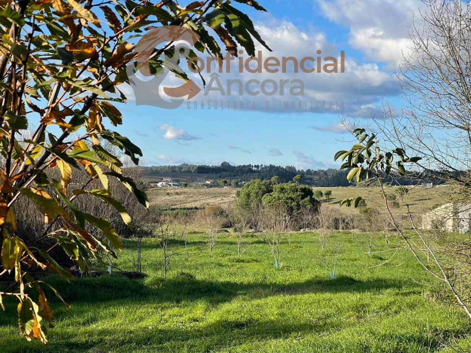 Terreno Agricola ou Rústico para Venda em Santa Marinha e São Martinho Foto 24
