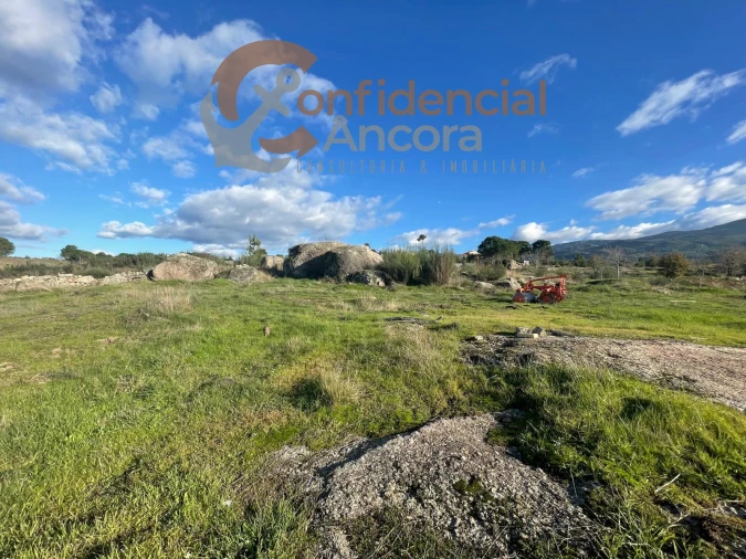 Terreno Agricola ou Rústico para Venda em Santa Marinha e São Martinho Foto 13