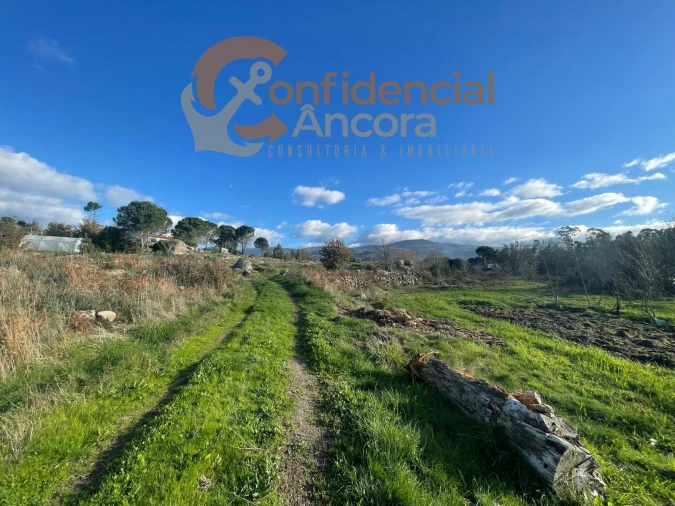 Terreno Agricola ou Rústico para Venda em Santa Marinha e São Martinho Foto 21