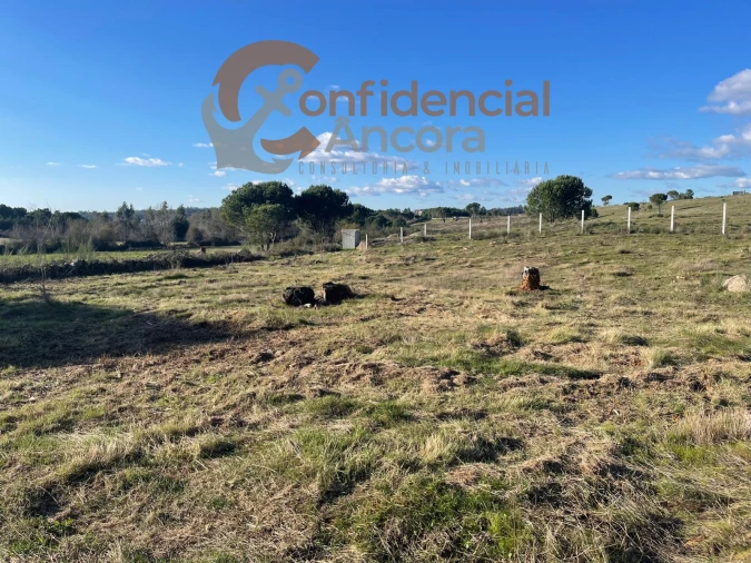 Terreno Agricola ou Rústico para Venda em Santa Marinha e São Martinho Foto 2