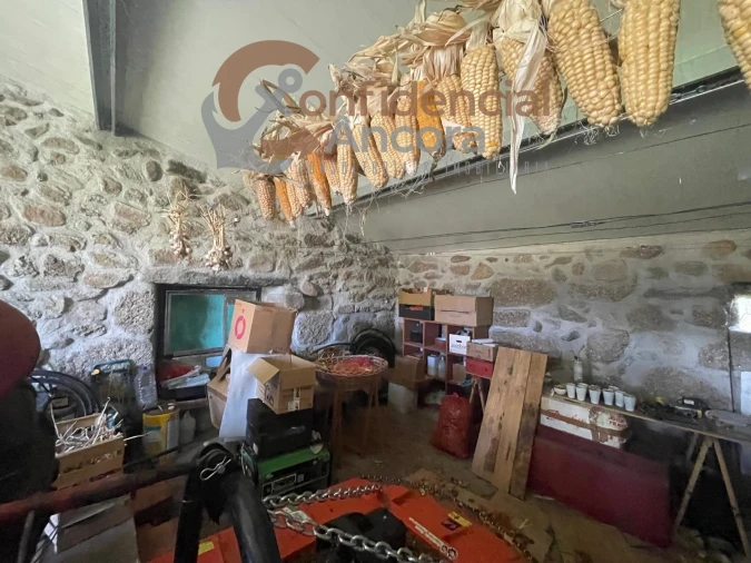 Terreno Agricola ou Rústico para Venda em Santa Marinha e São Martinho Foto 12