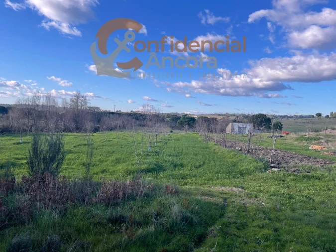 Terreno Agricola ou Rústico para Venda em Santa Marinha e São Martinho Foto 19