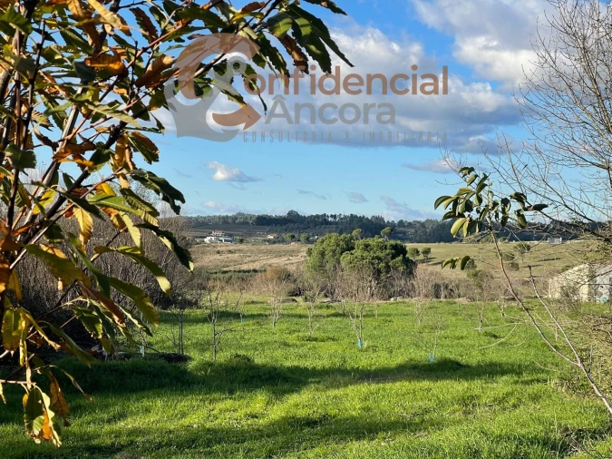 Terreno Agricola ou Rústico para Venda em Santa Marinha e São Martinho Foto 24