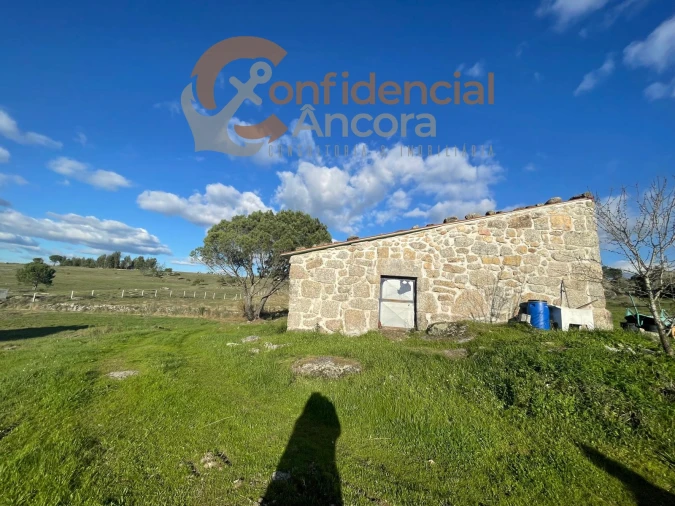 Terreno Agricola ou Rústico para Venda em Santa Marinha e São Martinho Foto 8