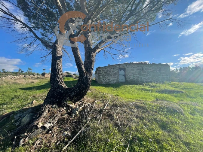 Terreno Agricola ou Rústico para Venda em Santa Marinha e São Martinho