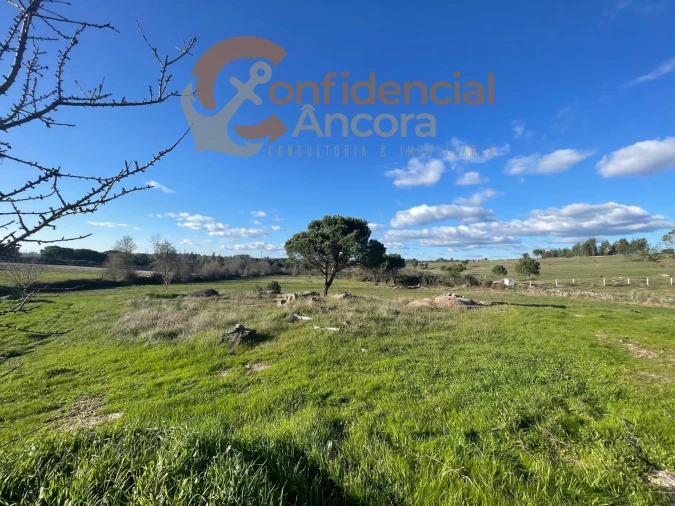 Terreno Agricola ou Rústico para Venda em Santa Marinha e São Martinho Foto 11