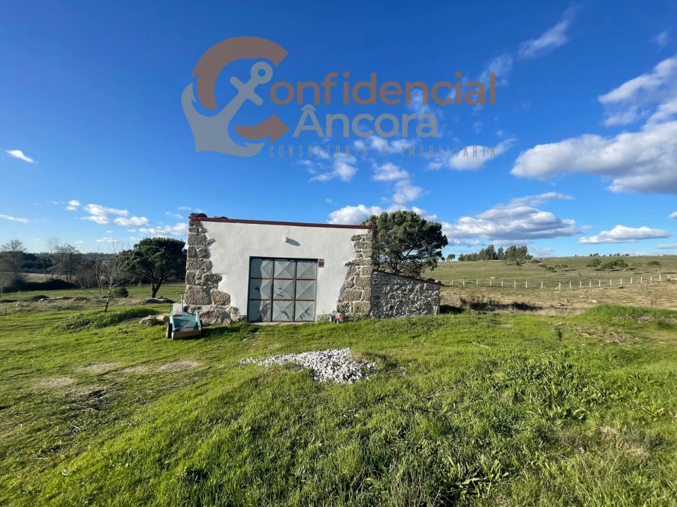 Terreno Agricola ou Rústico para Venda em Santa Marinha e São Martinho Foto 14